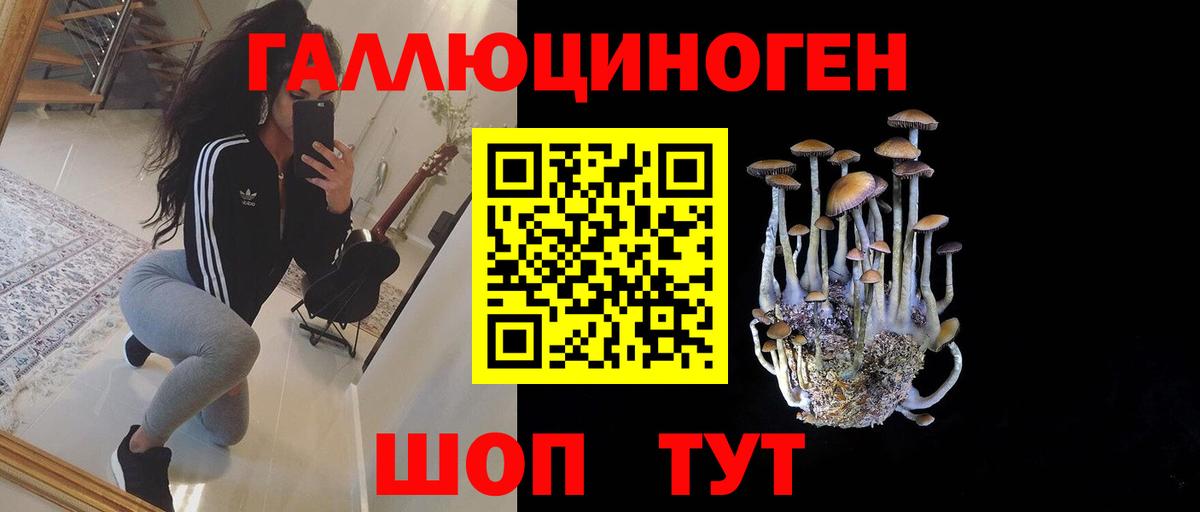 Галлюциногенные грибы GOLDEN TEACHER Южно-Сахалинск
