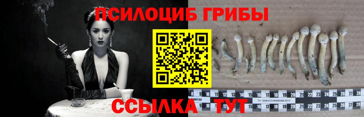 Южно-Сахалинск  Галлюциногенные грибы Magic Shrooms  Вход с VPN 